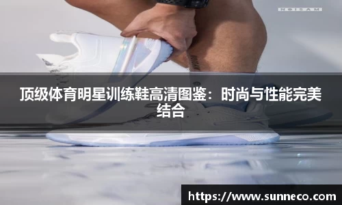 星空体育平台app