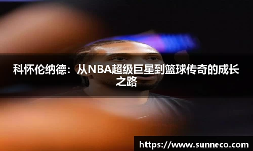 星空体育平台app