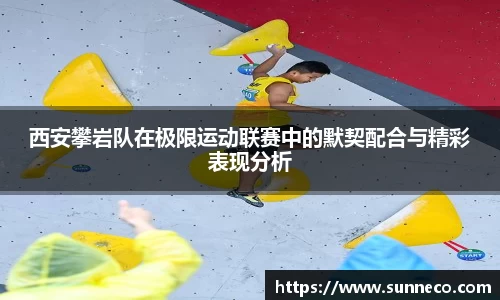 星空体育网站入口