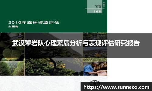 武汉攀岩队心理素质分析与表现评估研究报告