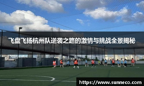 飞盘飞扬杭州队逆袭之路的激情与挑战全景揭秘